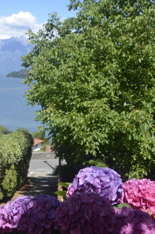 Anma Cottages The Secret Garden Pianello Del Lario Екстериор снимка