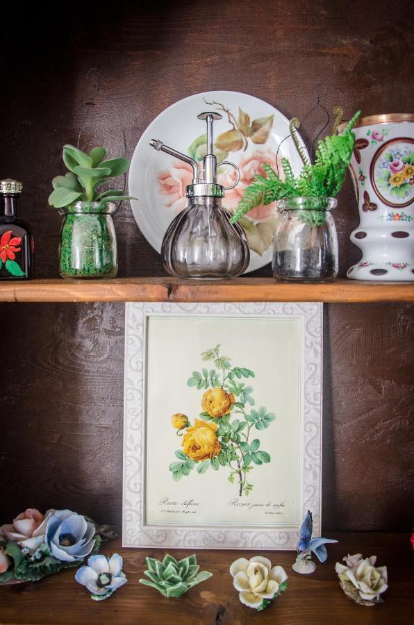 Anma Cottages The Secret Garden Pianello Del Lario Екстериор снимка