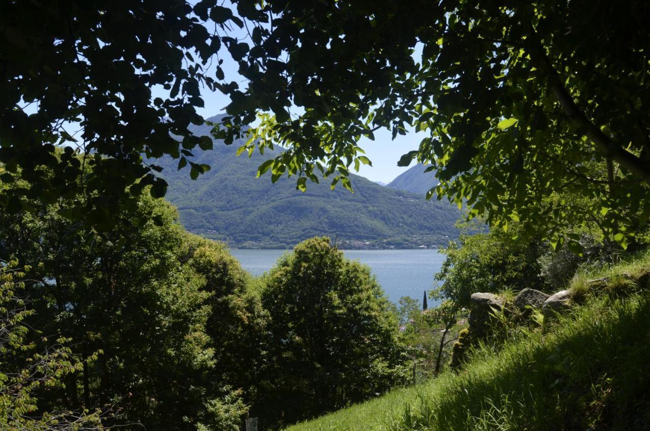 Anma Cottages The Secret Garden Pianello Del Lario Екстериор снимка